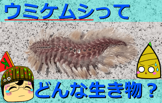 Thumbnail of post image 166